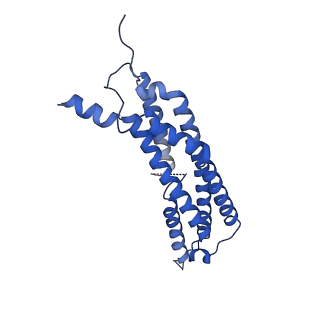22259_6xmj_Q_v1-1
Human 20S proteasome bound to an engineered 11S (PA26) activator