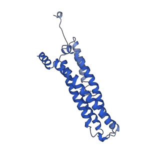 22259_6xmj_R_v1-1
Human 20S proteasome bound to an engineered 11S (PA26) activator