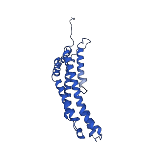 22259_6xmj_S_v1-1
Human 20S proteasome bound to an engineered 11S (PA26) activator