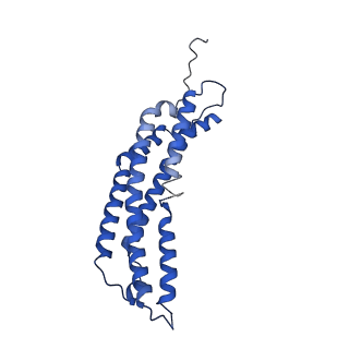 22259_6xmj_T_v1-1
Human 20S proteasome bound to an engineered 11S (PA26) activator