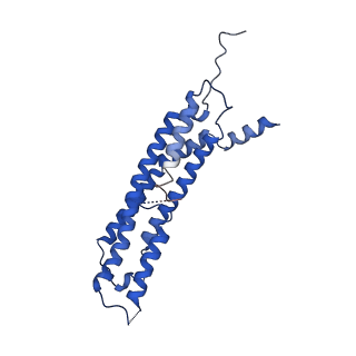22259_6xmj_U_v1-1
Human 20S proteasome bound to an engineered 11S (PA26) activator