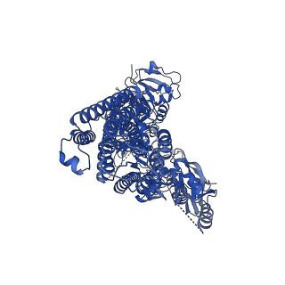 22260_6xmp_A_v1-1
Structure of P5A-ATPase Spf1, Apo form
