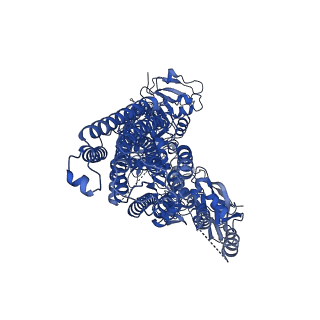 22260_6xmp_A_v1-2
Structure of P5A-ATPase Spf1, Apo form