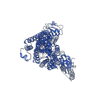 22261_6xmq_A_v1-1
Structure of P5A-ATPase Spf1, AMP-PCP-bound form