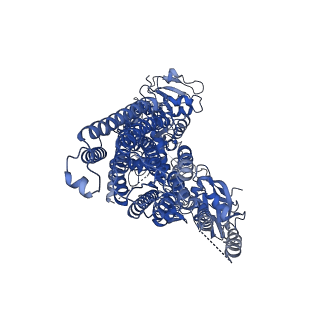 22261_6xmq_A_v1-2
Structure of P5A-ATPase Spf1, AMP-PCP-bound form
