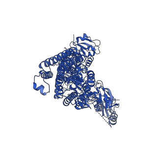 22262_6xms_A_v1-1
Structure of P5A-ATPase Spf1, AlF4-bound form
