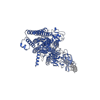 22263_6xmt_A_v1-2
Structure of P5A-ATPase Spf1, BeF3-bound form