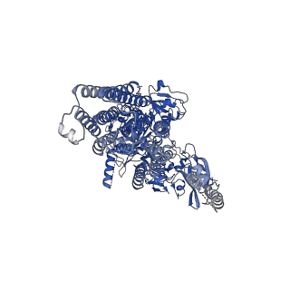 22264_6xmu_A_v1-1
Structure of P5A-ATPase Spf1, endogenous substrate-bound