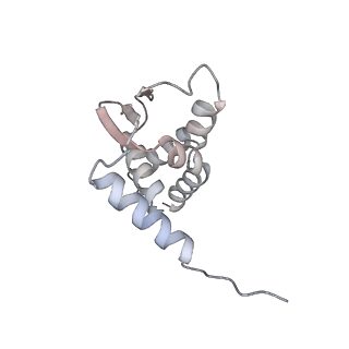 22265_6xmx_E_v1-3
Cryo-EM structure of BCL6 bound to BI-3802