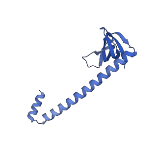 33289_7xm1_F_v1-2
Cryo-EM structure of mTIP60-Ba (metal-ion induced TIP60 (K67E) complex with barium ions