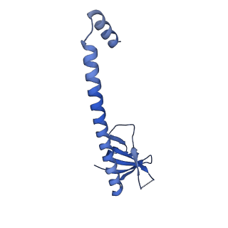 33289_7xm1_HA_v1-2
Cryo-EM structure of mTIP60-Ba (metal-ion induced TIP60 (K67E) complex with barium ions