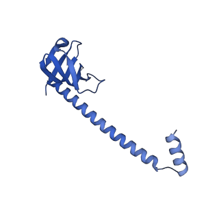 33289_7xm1_K_v1-2
Cryo-EM structure of mTIP60-Ba (metal-ion induced TIP60 (K67E) complex with barium ions