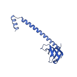33289_7xm1_P_v1-2
Cryo-EM structure of mTIP60-Ba (metal-ion induced TIP60 (K67E) complex with barium ions