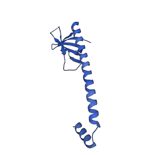 33289_7xm1_X_v1-2
Cryo-EM structure of mTIP60-Ba (metal-ion induced TIP60 (K67E) complex with barium ions