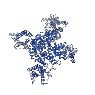 33292_7xm9_A_v1-2
Cryo-EM structure of human NaV1.7/beta1/beta2-XEN907