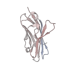 33292_7xm9_C_v1-2
Cryo-EM structure of human NaV1.7/beta1/beta2-XEN907