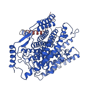 33293_7xmc_A_v1-0
Cryo-EM structure of Cytochrome bo3 from Escherichia coli, apo structure with DMSO