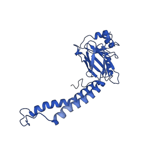 33293_7xmc_B_v1-0
Cryo-EM structure of Cytochrome bo3 from Escherichia coli, apo structure with DMSO