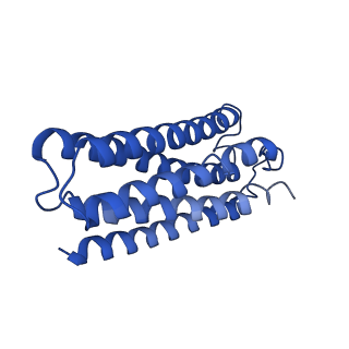 33293_7xmc_C_v1-0
Cryo-EM structure of Cytochrome bo3 from Escherichia coli, apo structure with DMSO