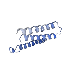 33293_7xmc_D_v1-0
Cryo-EM structure of Cytochrome bo3 from Escherichia coli, apo structure with DMSO