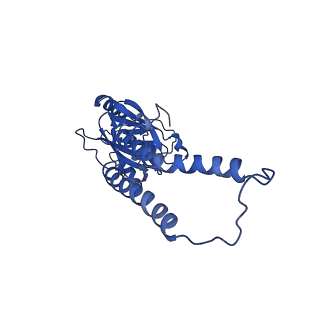 33294_7xmd_B_v1-0
Cryo-EM structure of Cytochrome bo3 from Escherichia coli, the structure complexed with an allosteric inhibitor N4