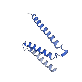 33294_7xmd_D_v1-0
Cryo-EM structure of Cytochrome bo3 from Escherichia coli, the structure complexed with an allosteric inhibitor N4