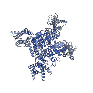 33295_7xmf_A_v1-2
Cryo-EM structure of human NaV1.7/beta1/beta2-Nav1.7-IN2