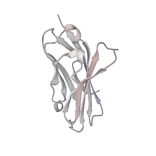 33295_7xmf_C_v1-2
Cryo-EM structure of human NaV1.7/beta1/beta2-Nav1.7-IN2