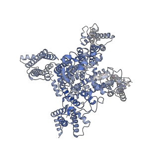 33296_7xmg_A_v1-2
Cryo-EM structure of human NaV1.7/beta1/beta2-TCN-1752