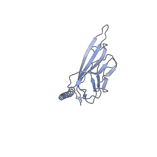 33296_7xmg_B_v1-2
Cryo-EM structure of human NaV1.7/beta1/beta2-TCN-1752