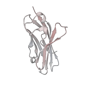 33296_7xmg_F_v1-2
Cryo-EM structure of human NaV1.7/beta1/beta2-TCN-1752