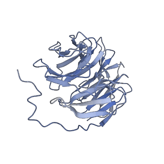 33302_7xmr_B_v1-1
CryoEM structure of the somatostatin receptor 2 (SSTR2) in complex with Gi1 and its endogeneous peptide ligand SST-14