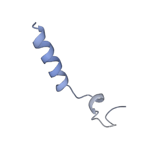33302_7xmr_C_v1-1
CryoEM structure of the somatostatin receptor 2 (SSTR2) in complex with Gi1 and its endogeneous peptide ligand SST-14