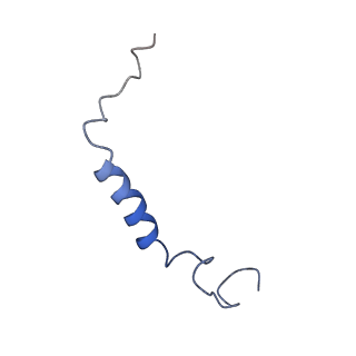 33303_7xms_C_v1-1
CryoEM structure of somatostatin receptor 4 (SSTR4) in complex with Gi1 and its endogeneous ligand SST-14