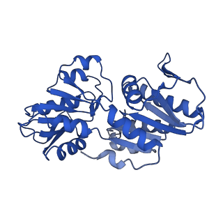 33306_7xmv_A_v1-1
E.coli phosphoribosylpyrophosphate (PRPP) synthetase type A(AMP/ADP) filament bound with ADP, AMP and R5P