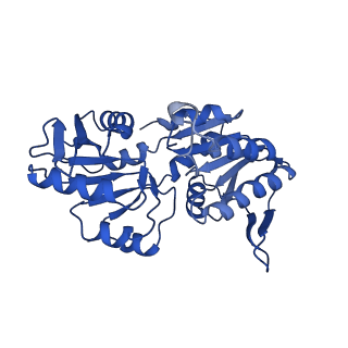 33306_7xmv_C_v1-1
E.coli phosphoribosylpyrophosphate (PRPP) synthetase type A(AMP/ADP) filament bound with ADP, AMP and R5P