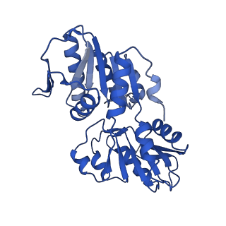 33306_7xmv_D_v1-1
E.coli phosphoribosylpyrophosphate (PRPP) synthetase type A(AMP/ADP) filament bound with ADP, AMP and R5P