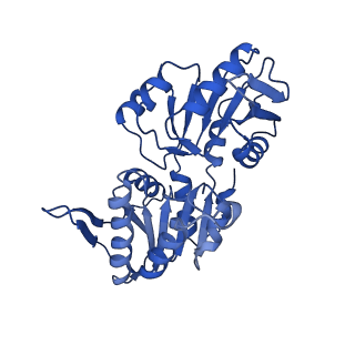 33306_7xmv_F_v1-1
E.coli phosphoribosylpyrophosphate (PRPP) synthetase type A(AMP/ADP) filament bound with ADP, AMP and R5P