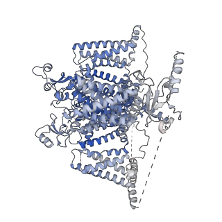 38483_8xmn_A_v1-0
Voltage-gated sodium channel Nav1.7 variant M2