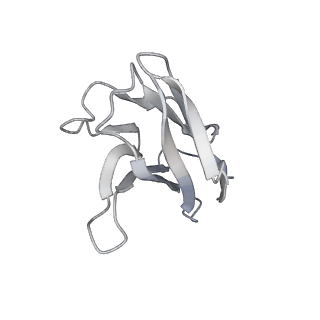 38483_8xmn_C_v1-0
Voltage-gated sodium channel Nav1.7 variant M2