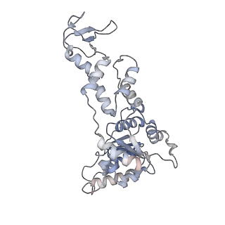 6734_5xmk_E_v1-1
Cryo-EM structure of the ATP-bound Vps4 mutant-E233Q complex with Vta1 (masked)