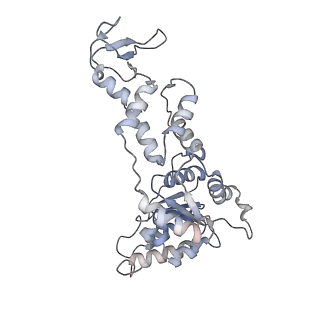 6734_5xmk_E_v1-2
Cryo-EM structure of the ATP-bound Vps4 mutant-E233Q complex with Vta1 (masked)