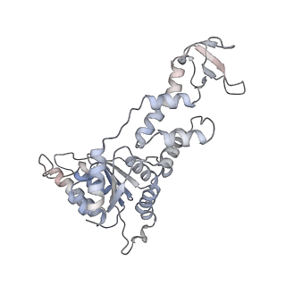 6734_5xmk_F_v1-1
Cryo-EM structure of the ATP-bound Vps4 mutant-E233Q complex with Vta1 (masked)