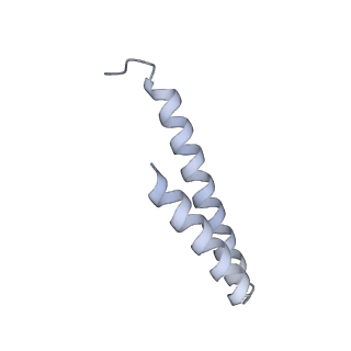 6734_5xmk_G_v1-2
Cryo-EM structure of the ATP-bound Vps4 mutant-E233Q complex with Vta1 (masked)