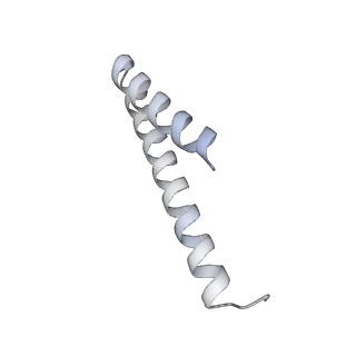 6734_5xmk_M_v1-2
Cryo-EM structure of the ATP-bound Vps4 mutant-E233Q complex with Vta1 (masked)