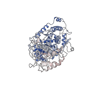 22266_6xn3_A_v1-1
Structure of the Lactococcus lactis Csm CTR_4:3 CRISPR-Cas Complex