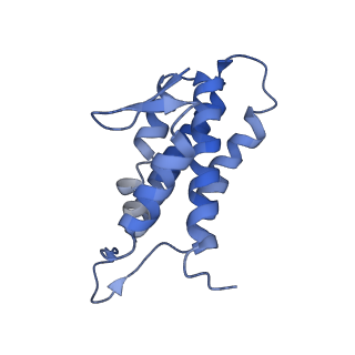 22266_6xn3_C_v1-1
Structure of the Lactococcus lactis Csm CTR_4:3 CRISPR-Cas Complex