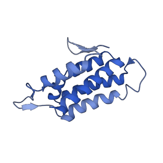 22266_6xn3_D_v1-1
Structure of the Lactococcus lactis Csm CTR_4:3 CRISPR-Cas Complex