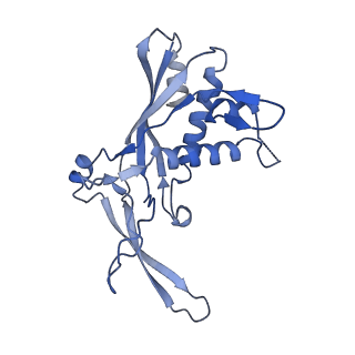 22266_6xn3_F_v1-1
Structure of the Lactococcus lactis Csm CTR_4:3 CRISPR-Cas Complex