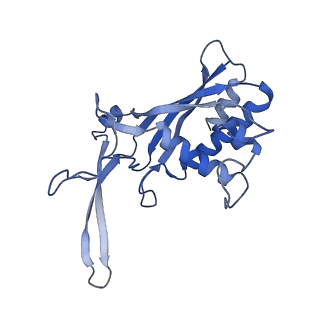 22266_6xn3_G_v1-1
Structure of the Lactococcus lactis Csm CTR_4:3 CRISPR-Cas Complex
